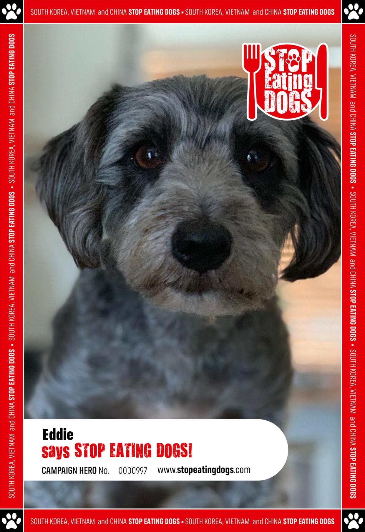 Eddie