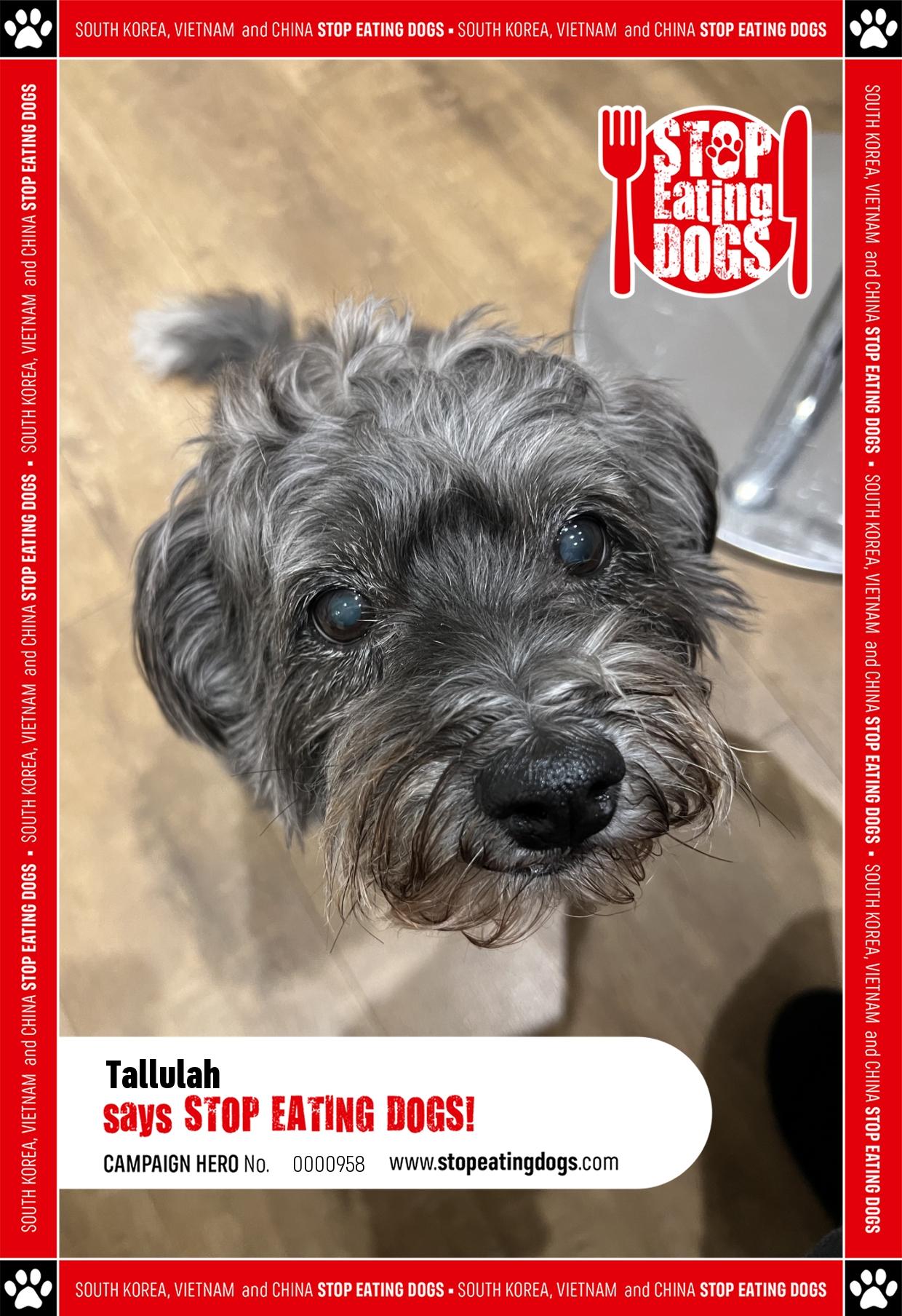 Tallulah